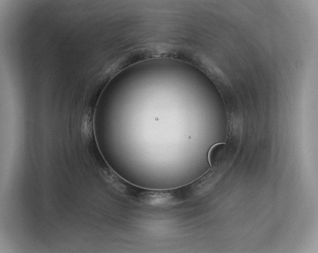 X0000112940719200908241320