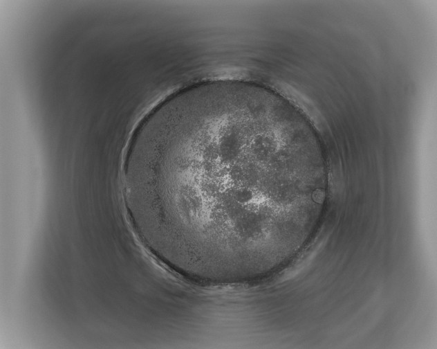 X0000112940721200908241320
