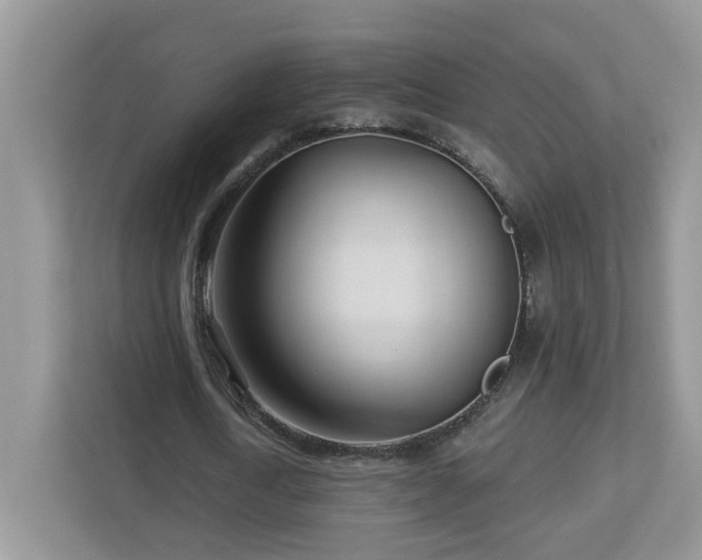 X0000112940722200908241320