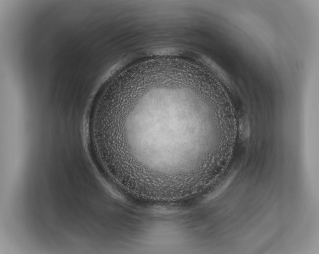 X0000112940725200908241320