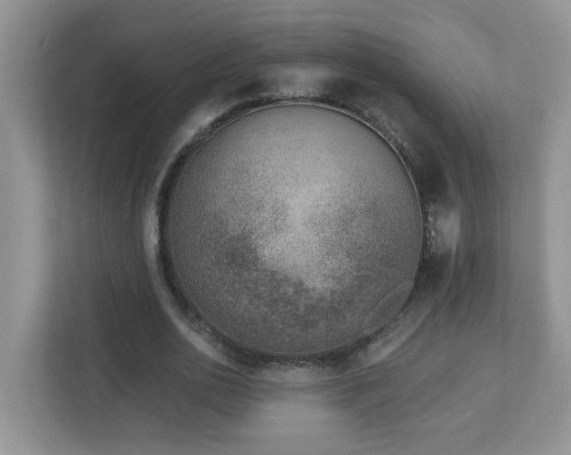 X0000112940726200908241320
