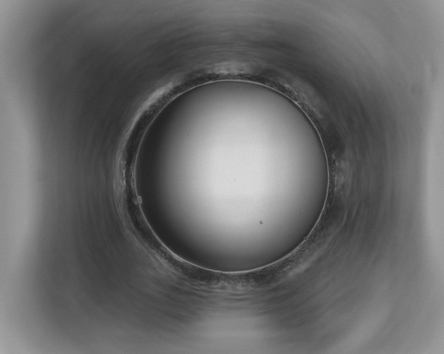 X0000112940727200908241320