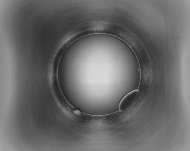X0000112940728200908241320