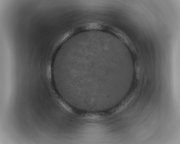 X0000112940729200908241320