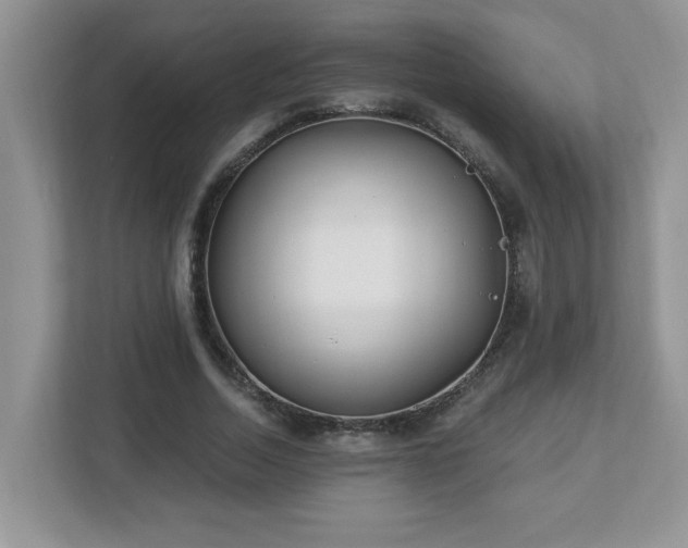 X0000112940730200908241320