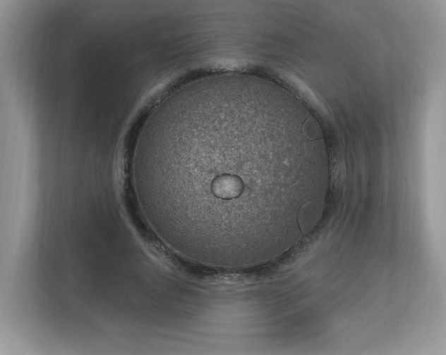 X0000112940736200908241320
