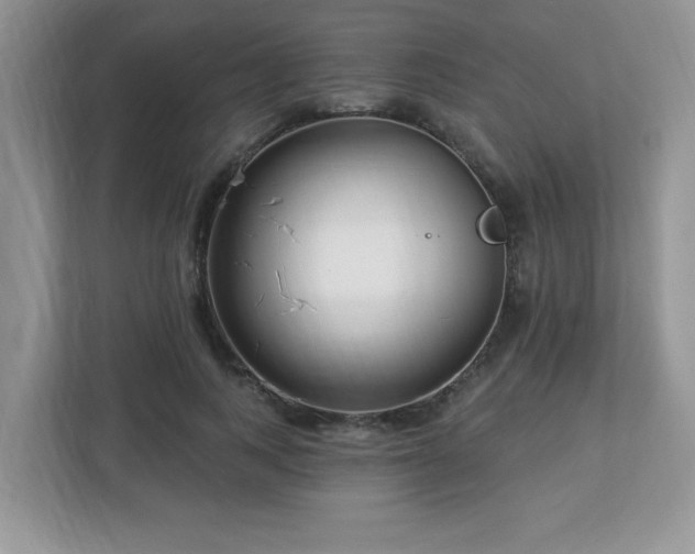 X0000112940743200908241320