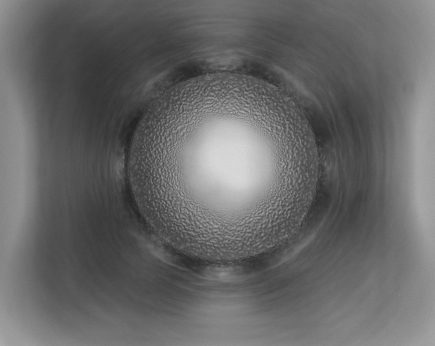 X0000112940745200908241320