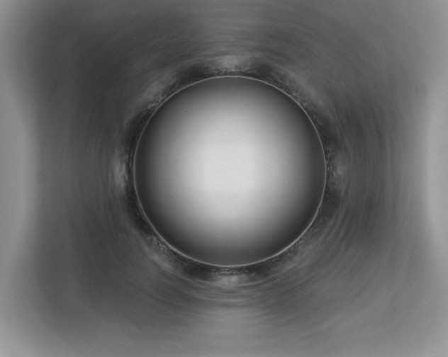 X0000112940746200908241320