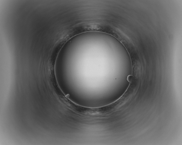 X0000112940747200908241320