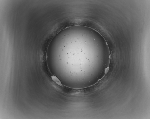 X0000112940750200908241320