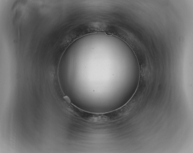 X0000112940752200908241320