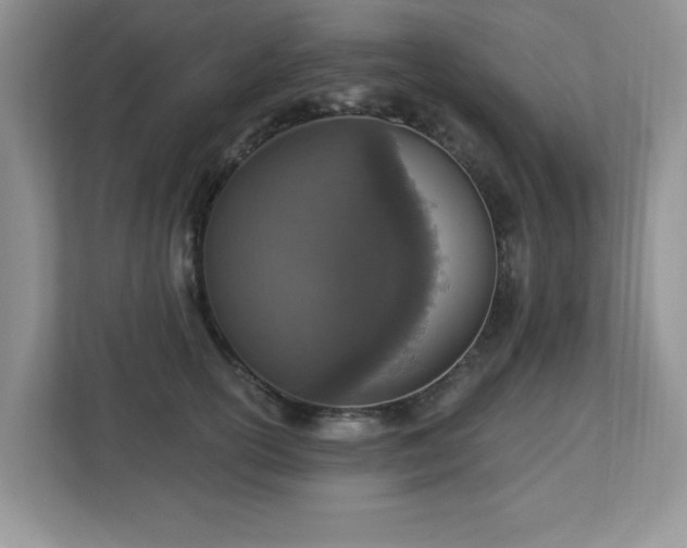 X0000112940754200908241320