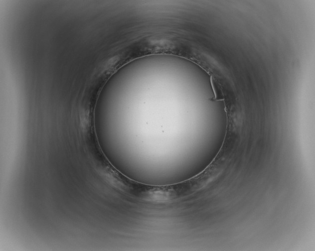 X0000112940756200908241320