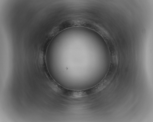 X0000112940757200908241320
