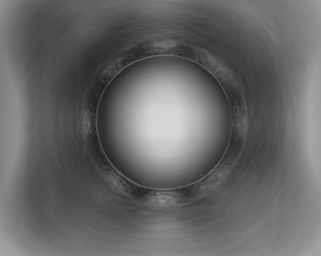X0000112940758200908241320