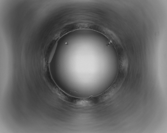 X0000112940759200908241320