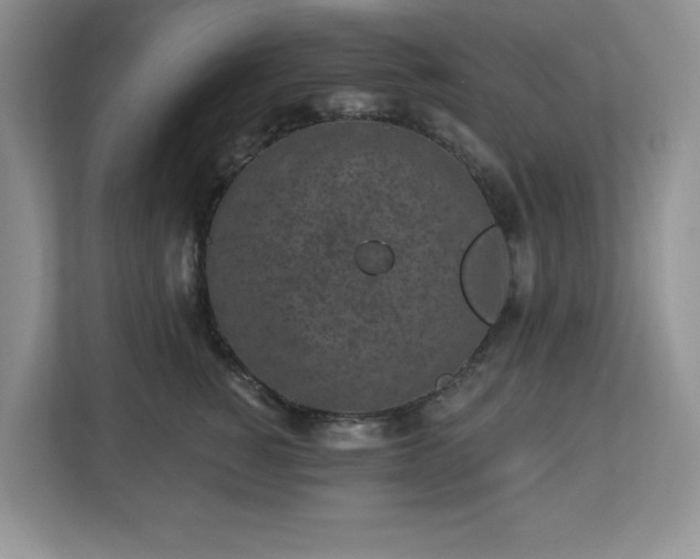 X0000112940760200908241320