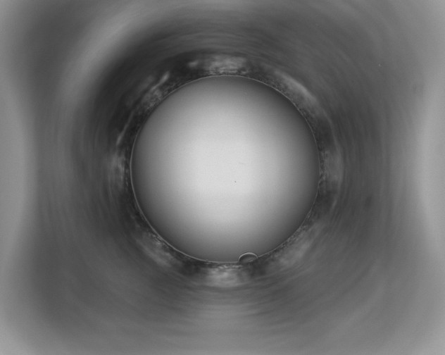 X0000112940761200908241320