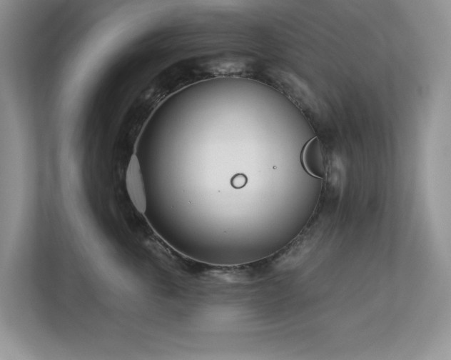 X0000112940763200908241320