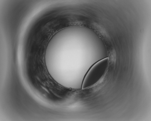 X0000112940764200908241320