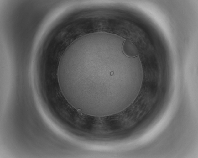 X0000112940766200908241320