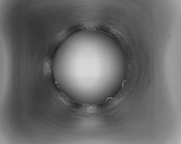 X0000112940768200908241320