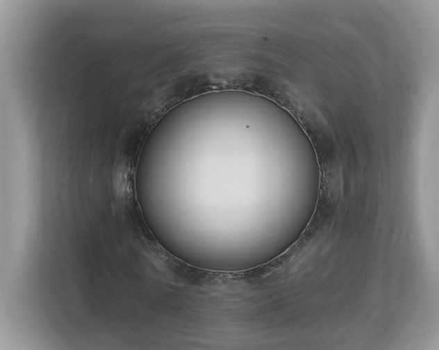 X0000112940770200908241320