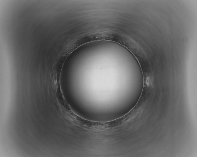 X0000112940771200908241320