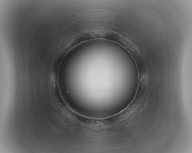 X0000112940772200908241319