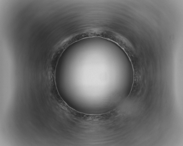X0000112940773200908241319