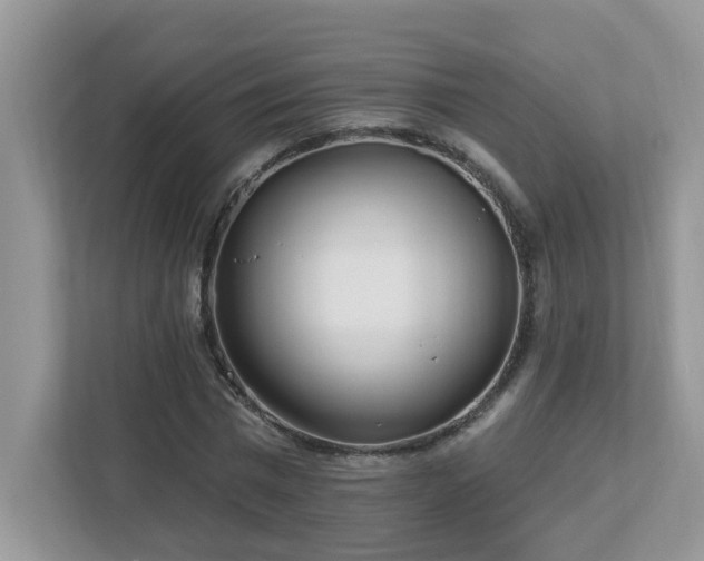 X0000112940777200908241319