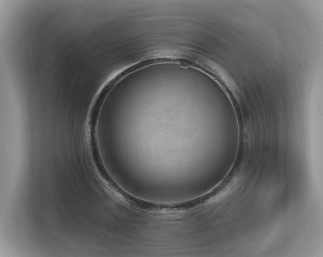 X0000112940779200908241319