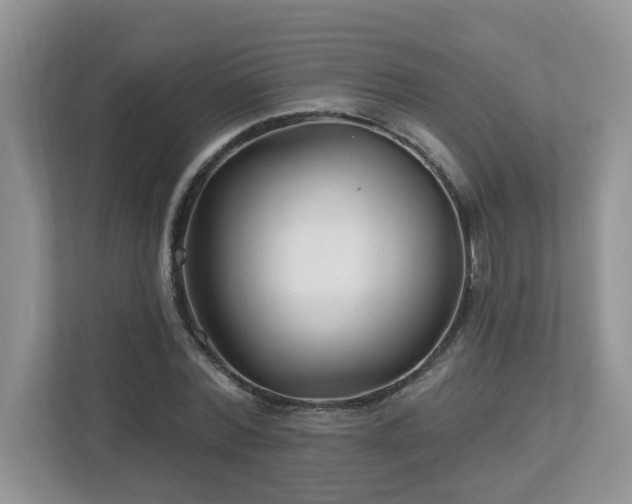 X0000112940780200908241319