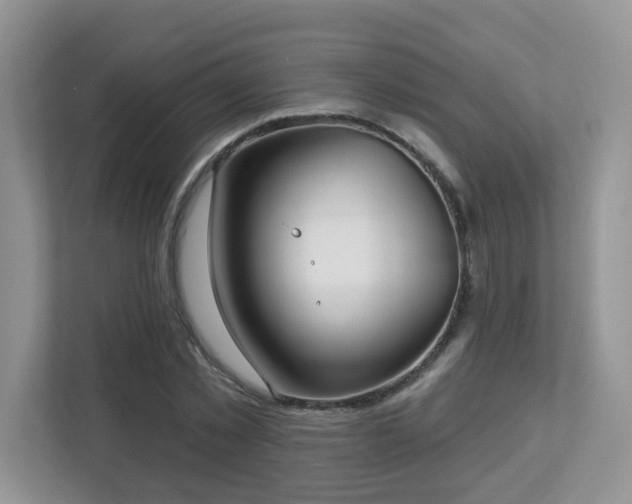 X0000112940781200908241319