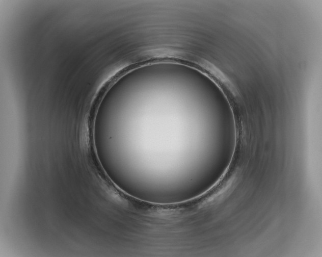 X0000112940782200908241319