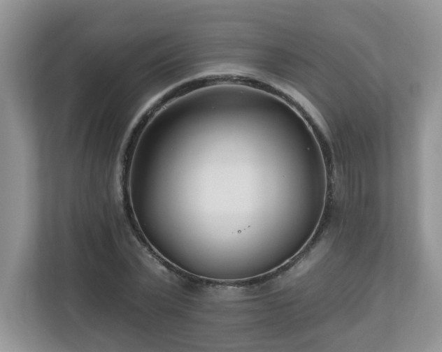 X0000112940783200908241319