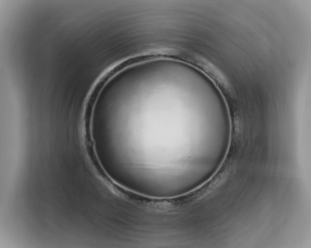 X0000112940784200908241319