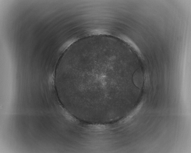 X0000112940785200908241319
