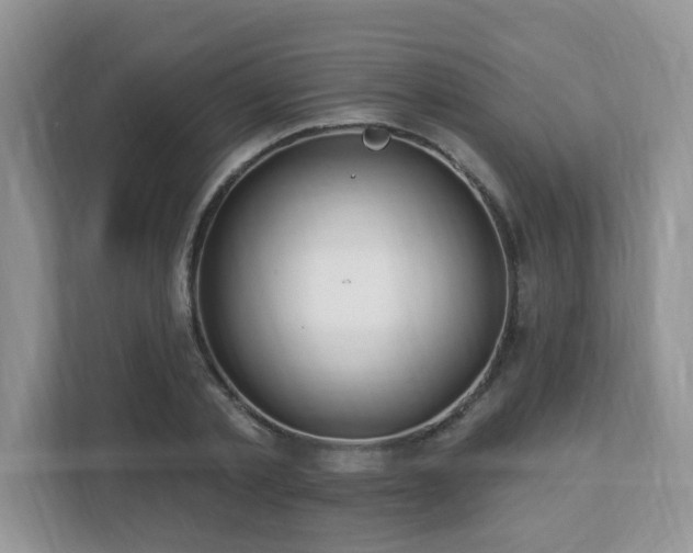 X0000112940789200908241319