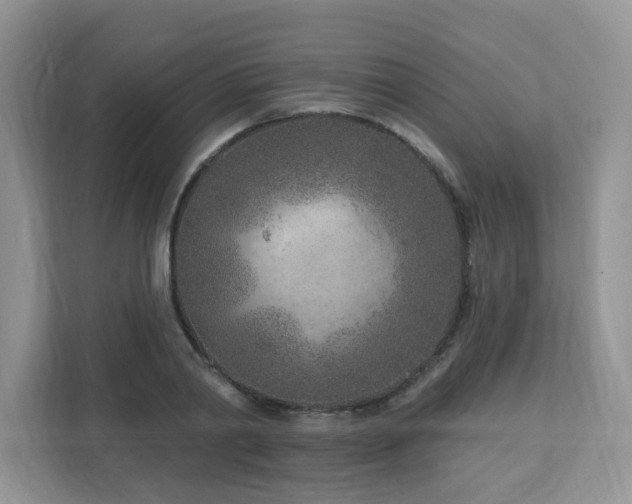 X0000112940790200908241319