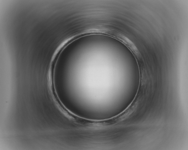 X0000112940796200908241319