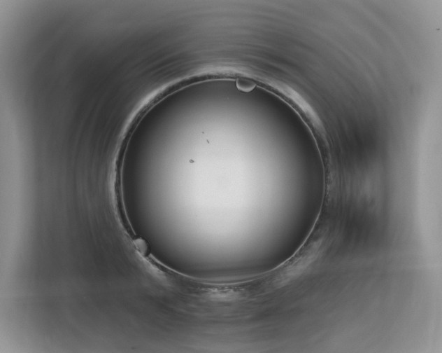 X0000112940799200908241319