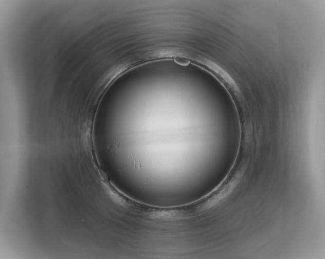 X0000112940801200908241319