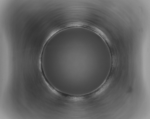 X0000112940802200908241319