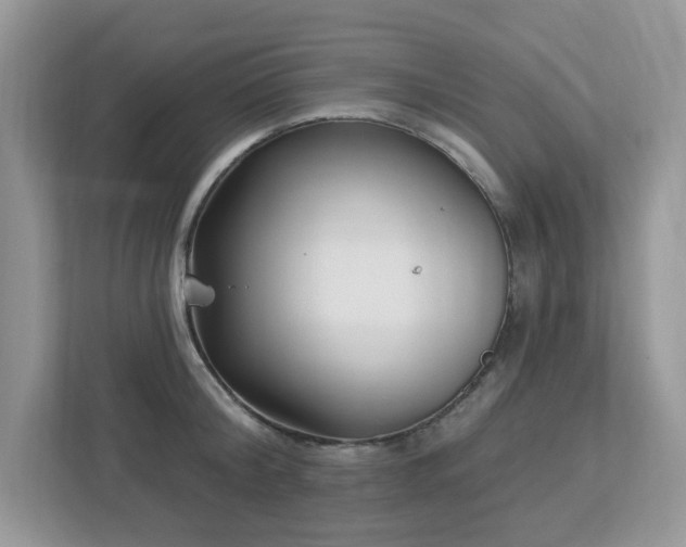X0000112940804200908241319