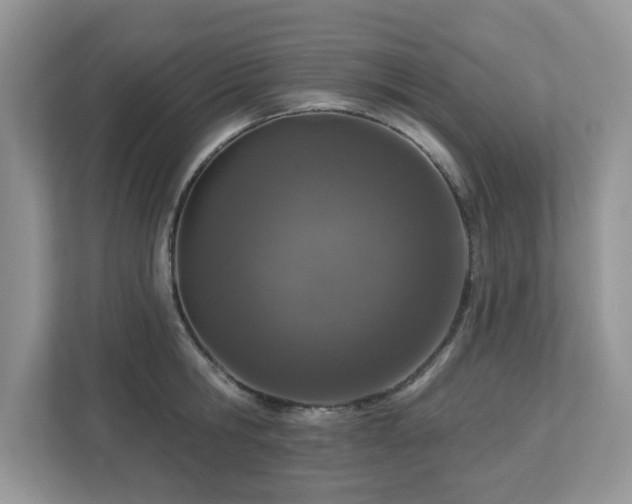 X0000112940806200908241319