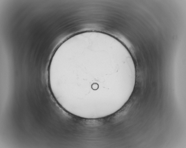X0000112940807200908241319