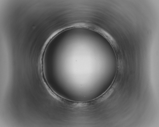 X0000112940808200908241319
