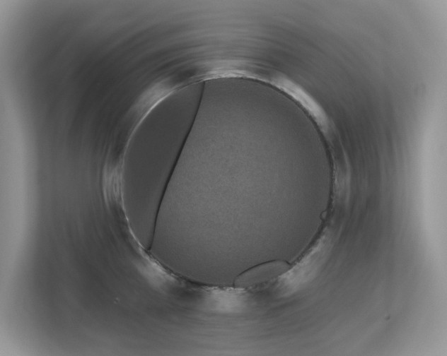 X0000112940809200908241319
